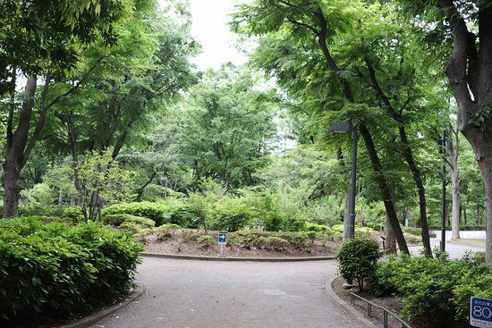 Parque Central de Shinjuku